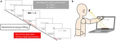 Effects of Tool Novelty and Action Demands on Gaze Searching During Tool Observation